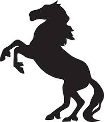 Stallion