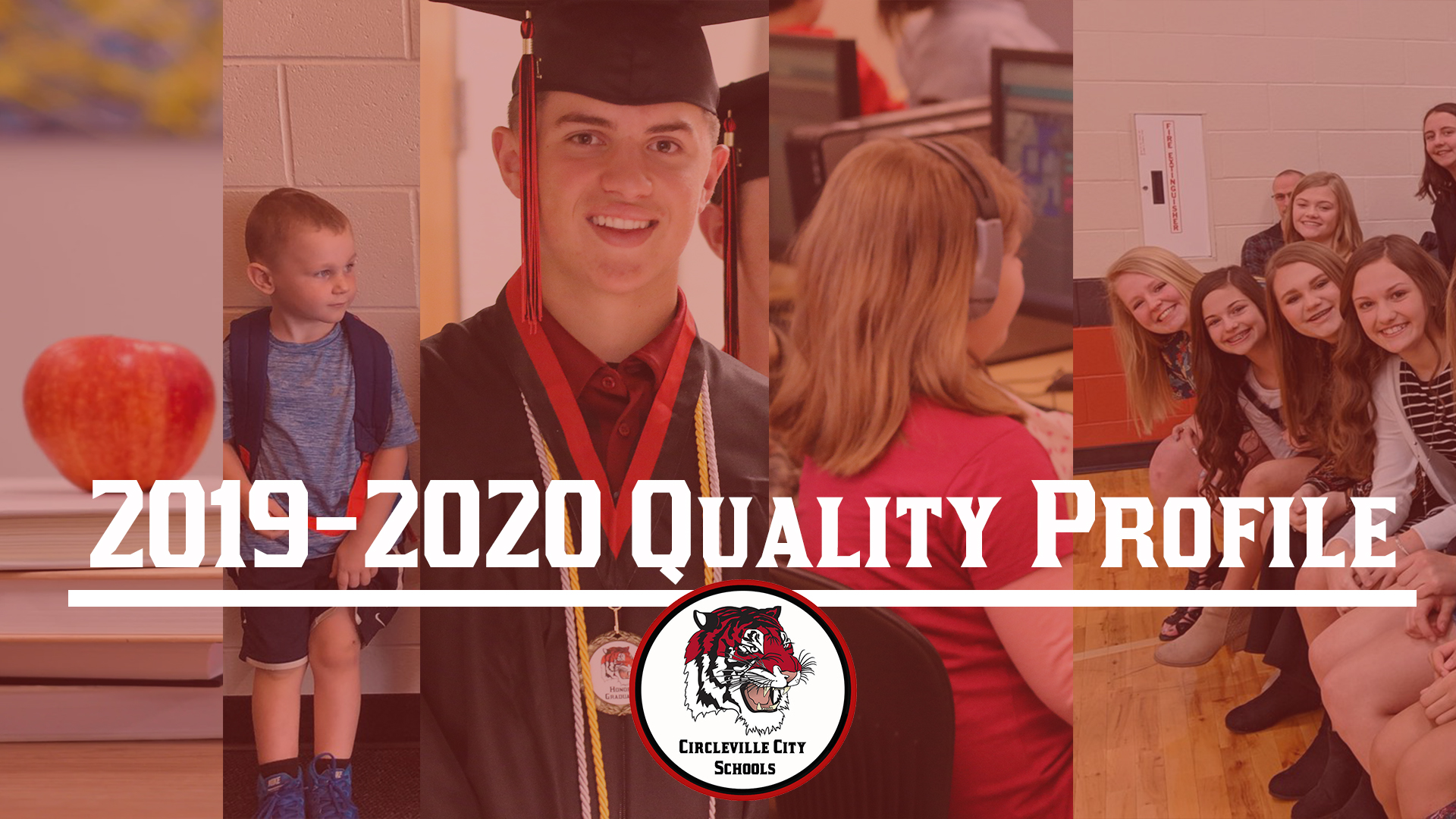 2019-2020 quality profile released