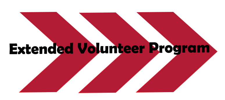 Extended Volunteer Graphic