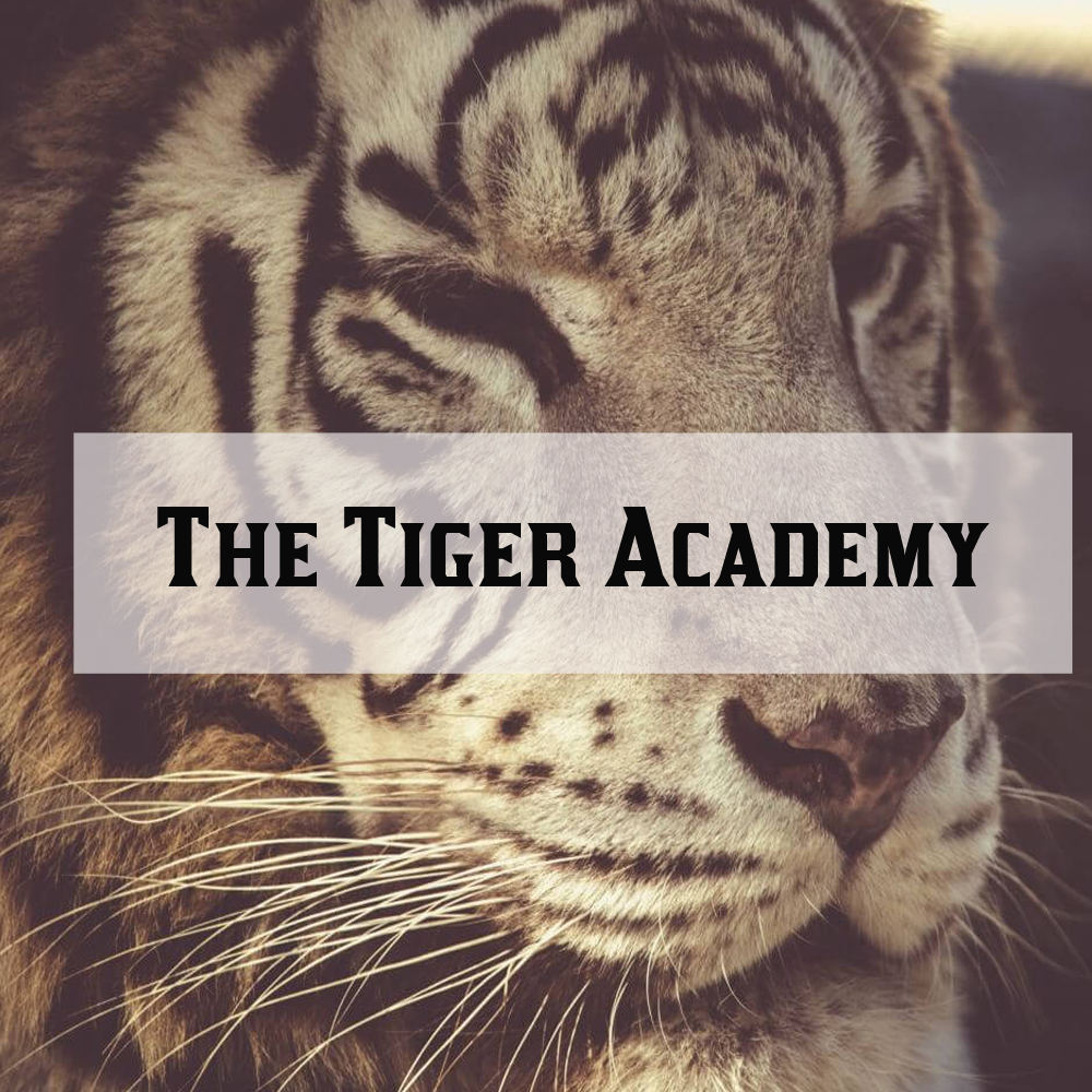 Tiger Academy Professional Development