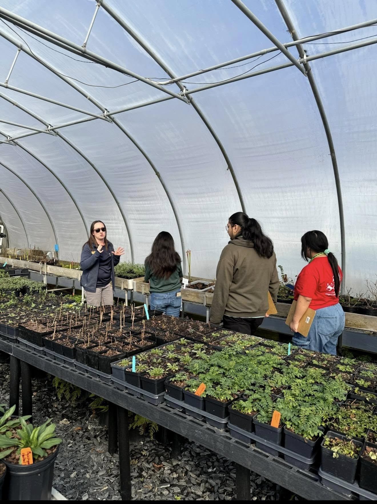An expert and students standing in a greenhouse