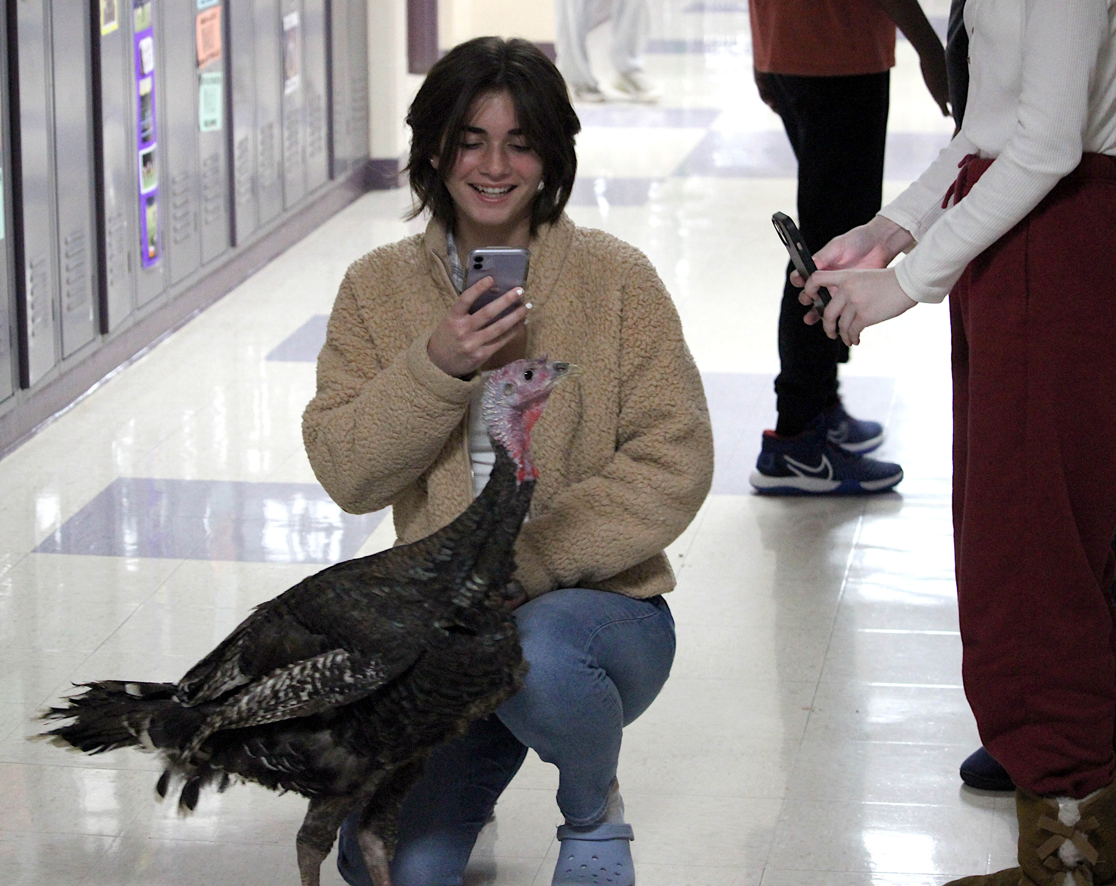 Students at the high school take pictures of a turkey
