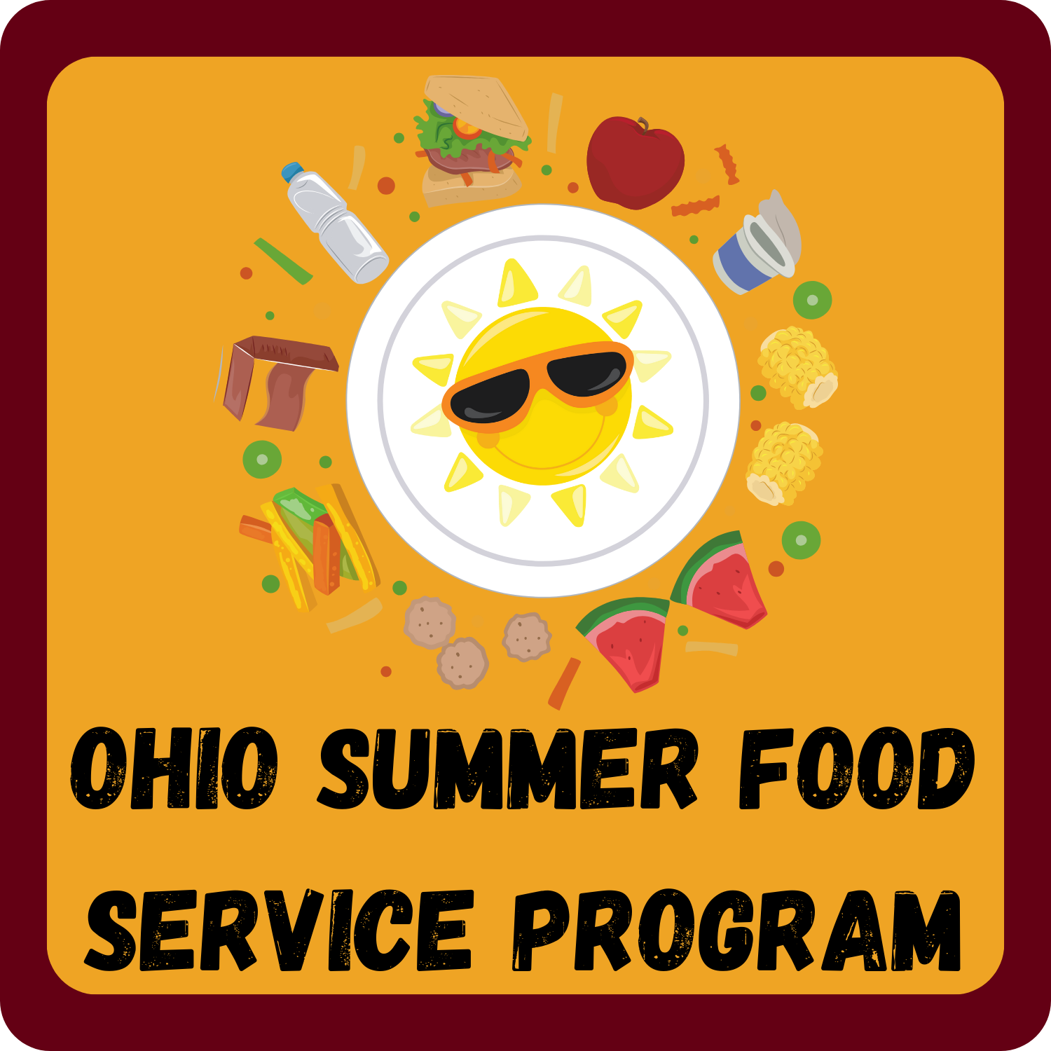 Ohio Summer Food Service Program (new site opens in new tab)